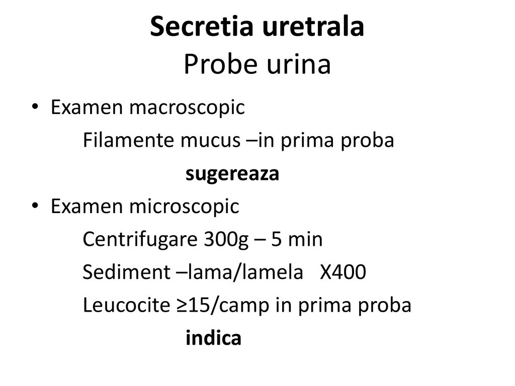 sediment urinar rare epitelii plate rar mucus